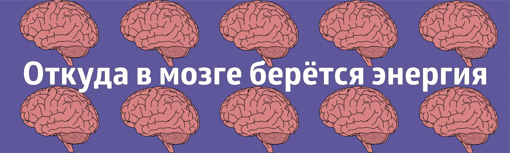 Как взять и доделать? - Альфа Банк ⇨ подробнее ☎198